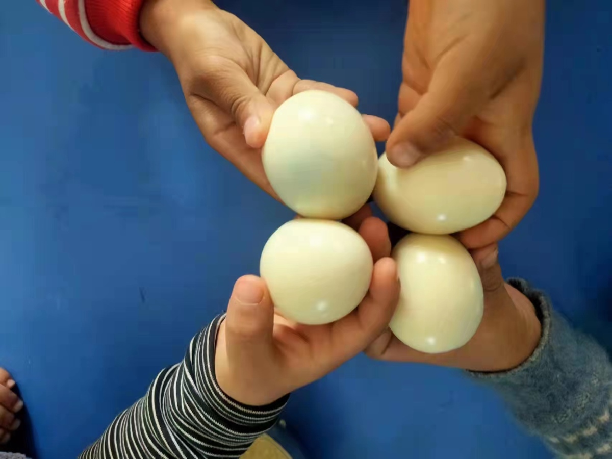 One Egg Charity Project