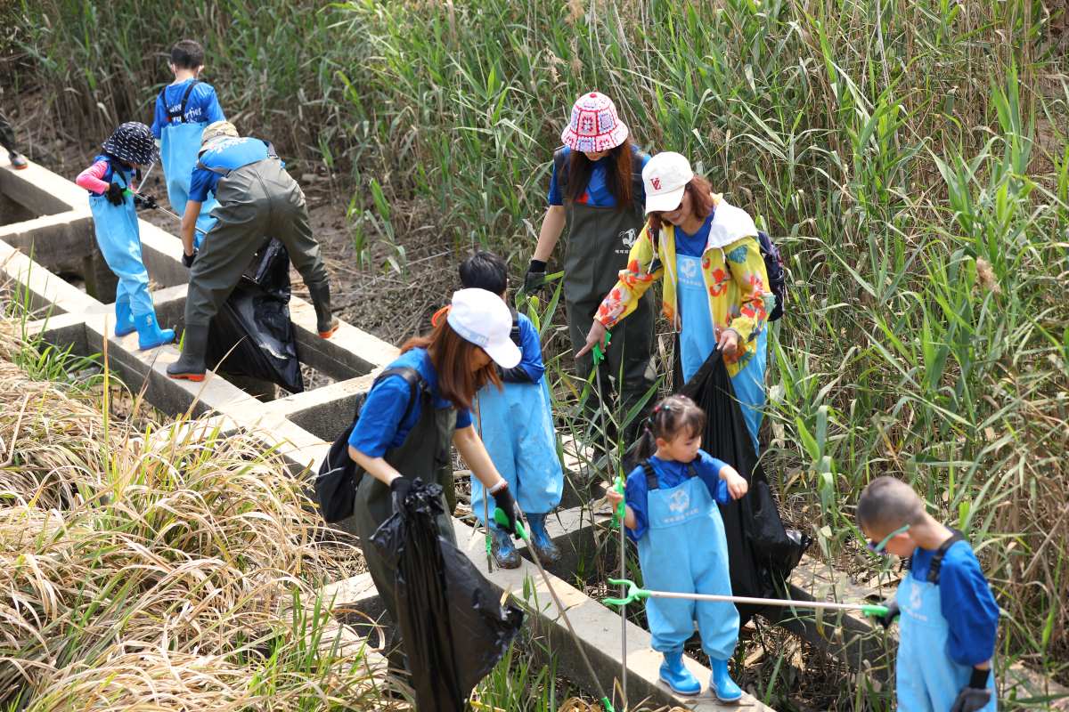 Together We Save the Mudflat!