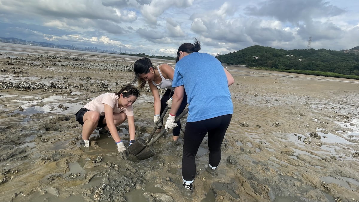 Reef Rebuilding Volunteering