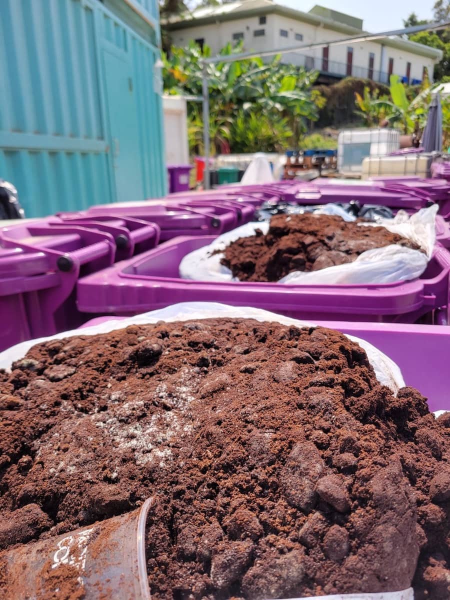 Coffee Grounds Recycling