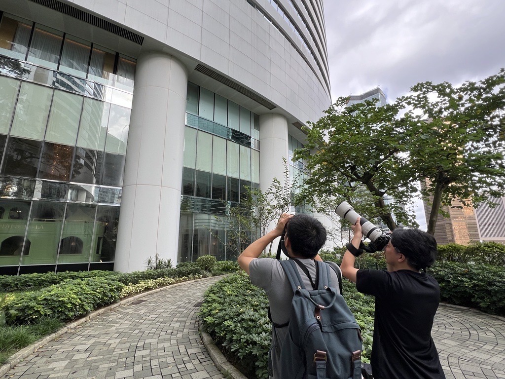 Biodiversity Baseline Study and Biodiversity Surveys