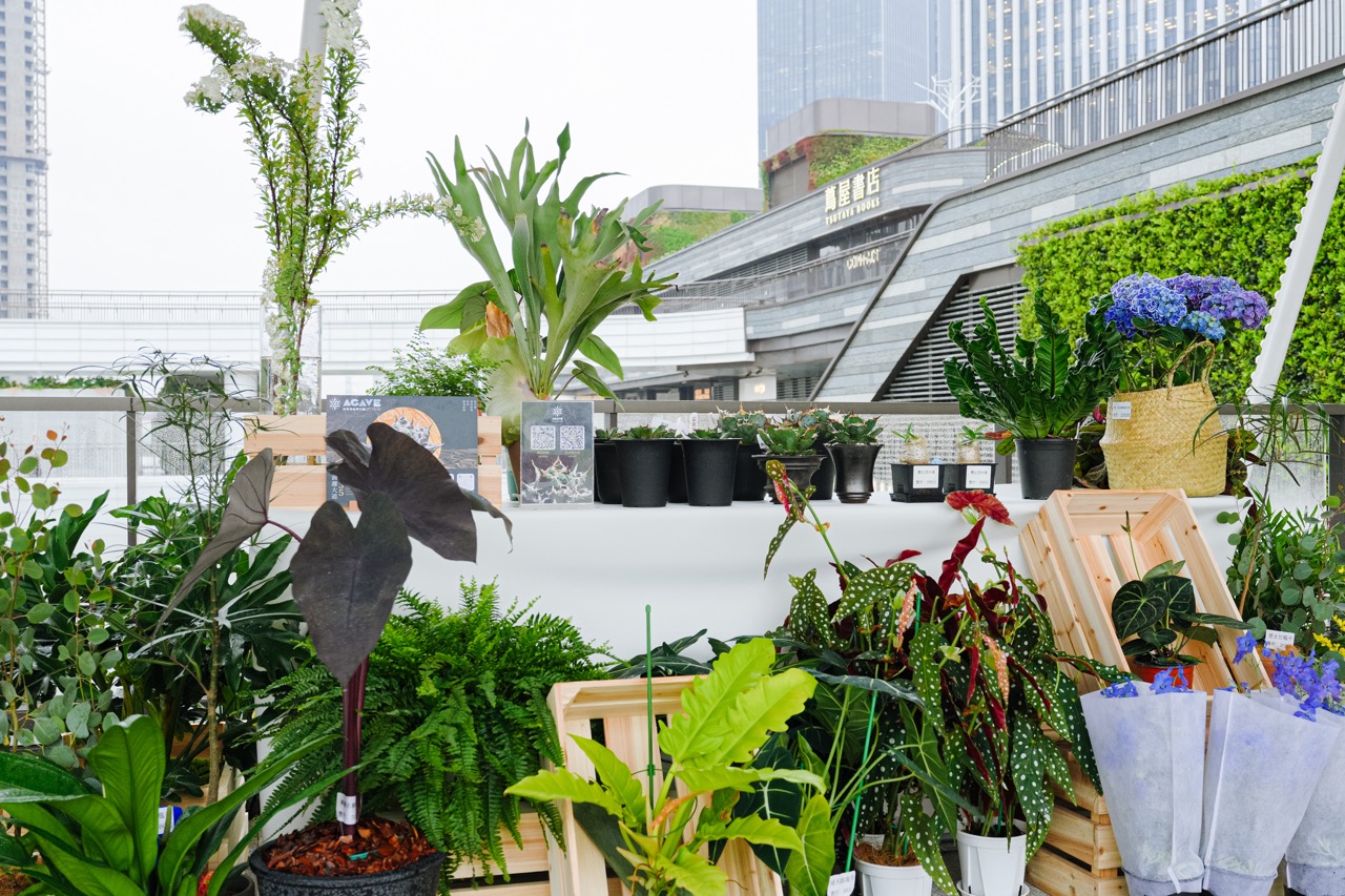 Nature and Biodiversity