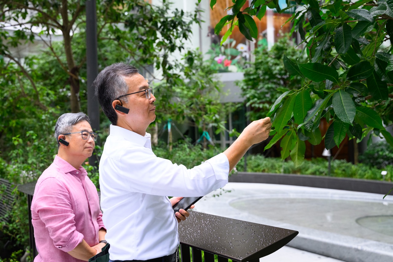 Taikoo Square Biodiversity Tours