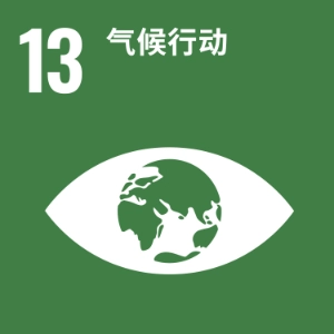 SDG 13 ─ 气候行动