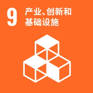 SDG 9 ─ 发展、创新和基础设施