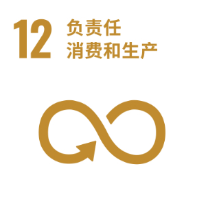 SDG 12 ─ 负责任消费和生产