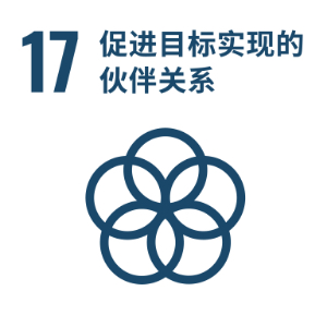 SDG 17 ─ 促进目标实现的伙伴关系