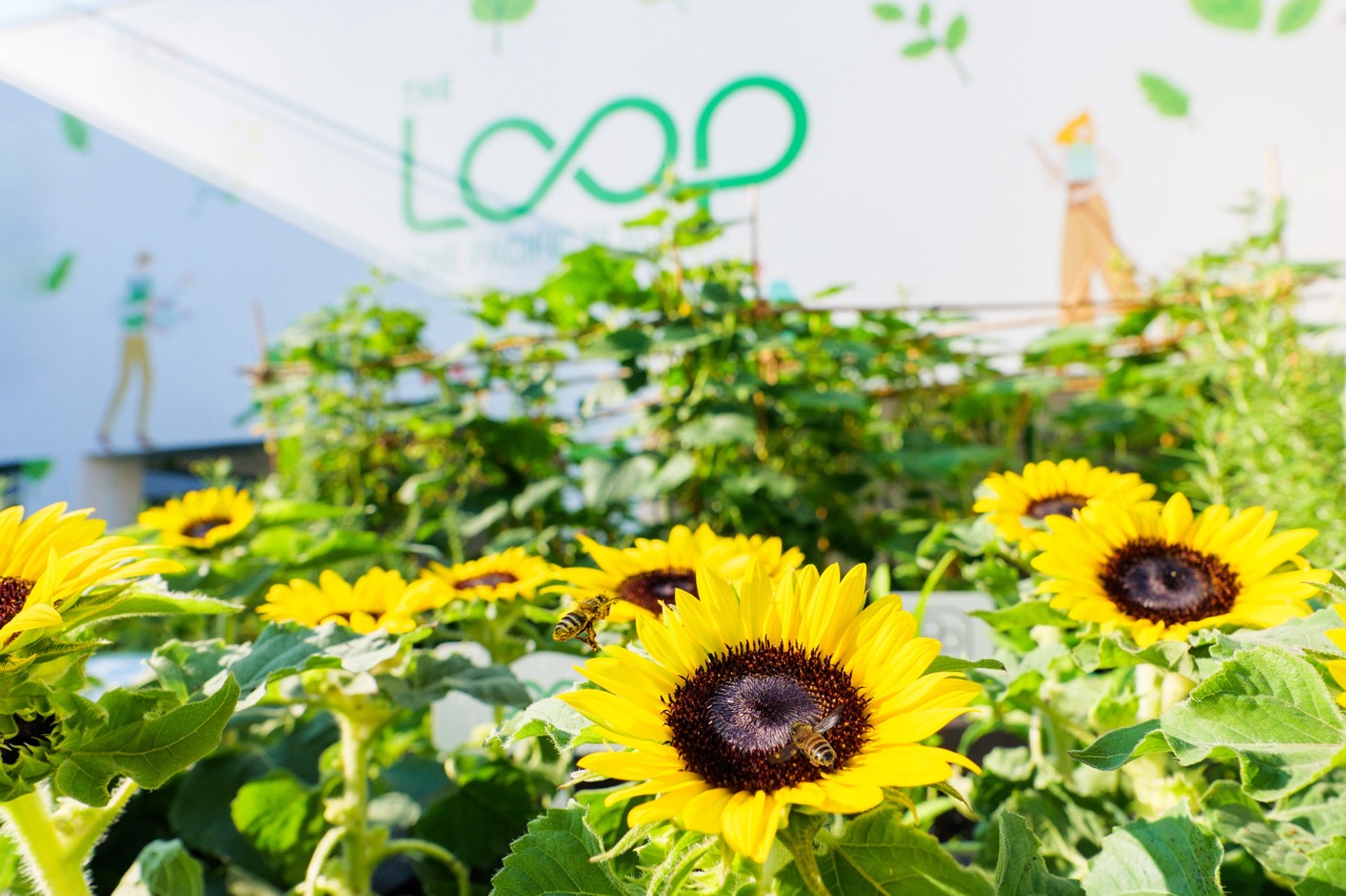 本年度租户参与活动