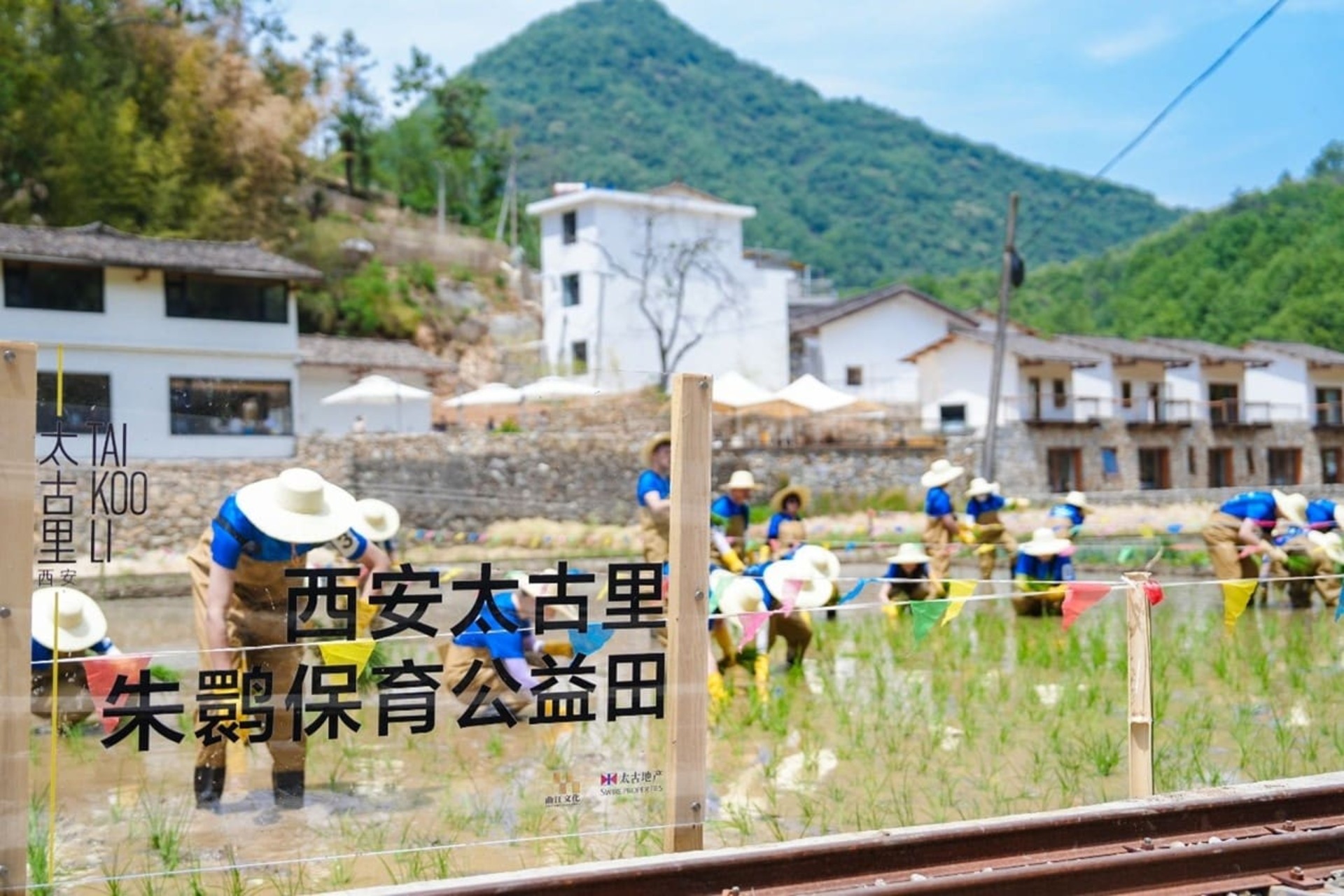 <span class='h7'>Arbor Day Earth Care Action 2025</span>