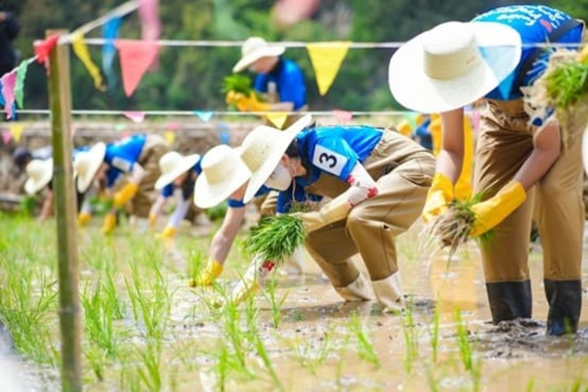 <span class='h7'>Arbor Day Earth Care Action 2025</span>
