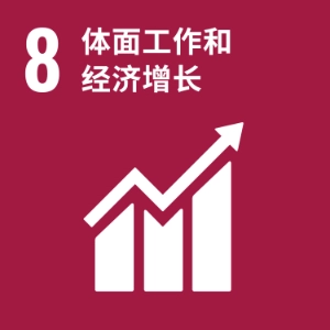 SDG 8 ─ 体面工作和经济增长